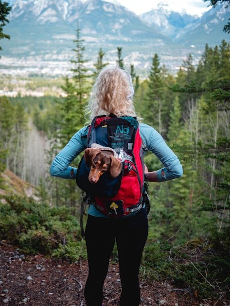 Cultural Exploration in a New Land